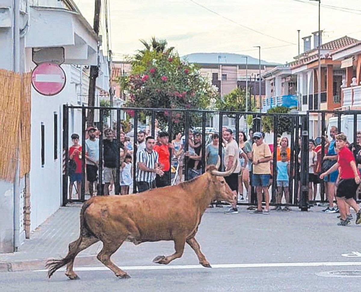 No faltarán los actos taurinos a cargo del ganadero Faet.