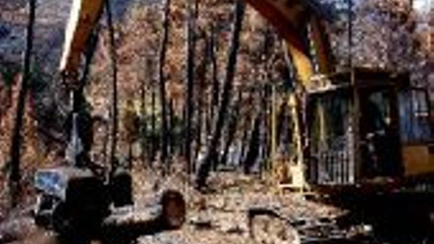 La Junta recupera 12.700 hectáreas incendiadas