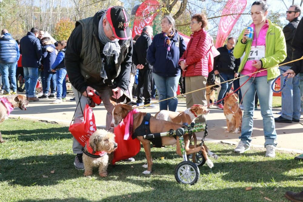 Así ha sido la Doggie Race en Benavente