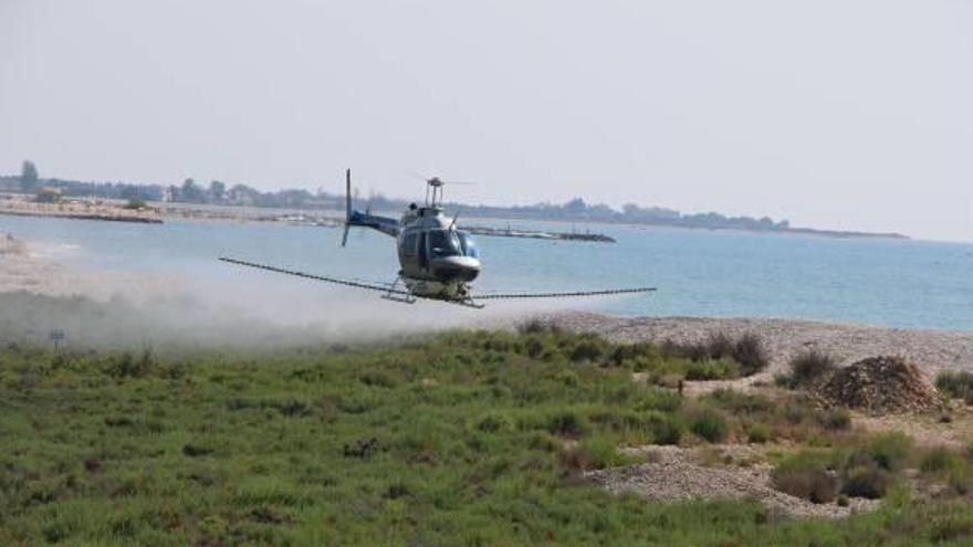 Torreblanca actúa contra las larvas de mosquito en el humedal con un helicóptero