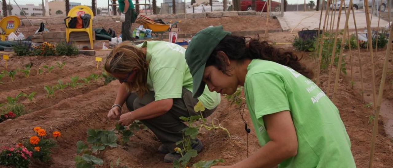 Los pueblos forman en agricultura ecológica