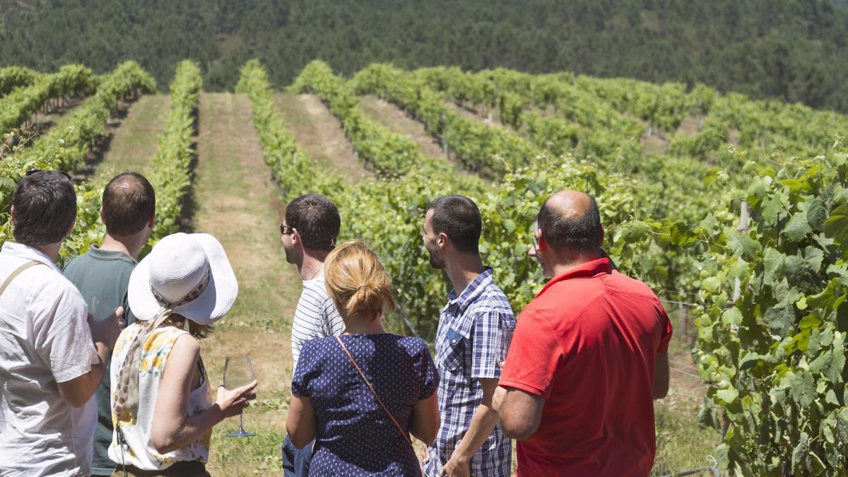 Unos visitantes en los viñedos de las bodegas Terras Gauda.