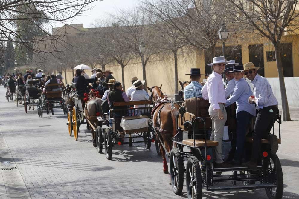 Córdoba celebra el 28-F con una marcha hípica