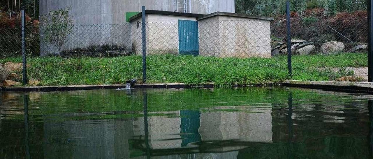 Pozos de agua contra los incendios en Domaio. // Gonzalo Núñez