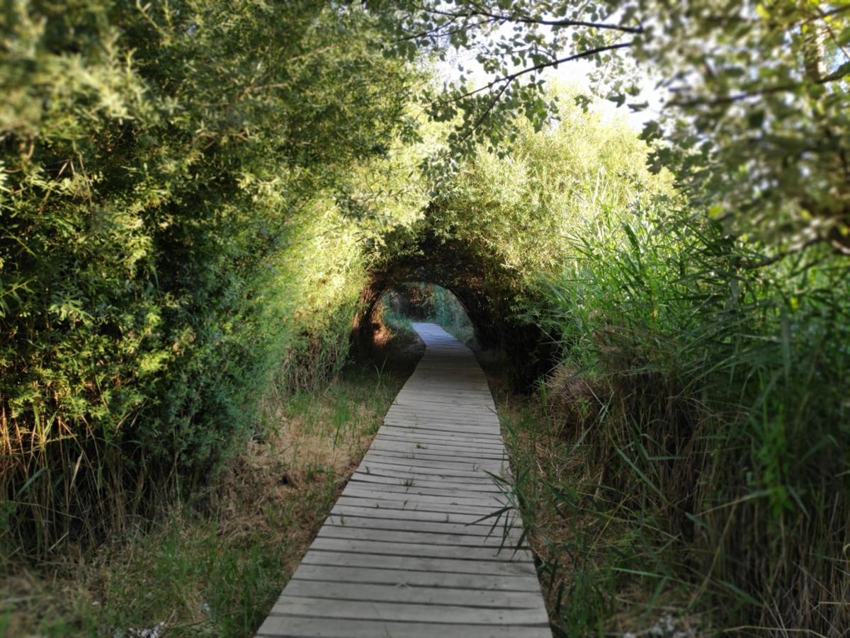 Ruta del Mamut en Padul, situada a una hora de Málaga