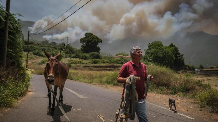 Incendio en Tenerife: Una vecina desalojada por el incendio en Los Realejos:  «Nací aquí, tengo más de 80 años y nunca viví nada como esto»