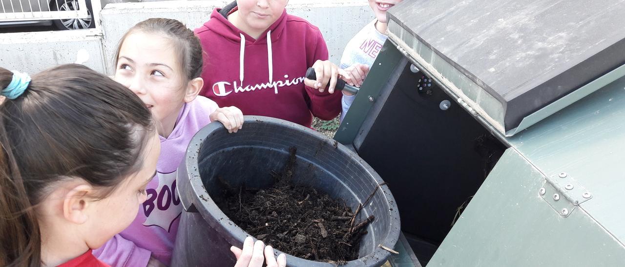Generación de compost en un centro educativo de la provincia