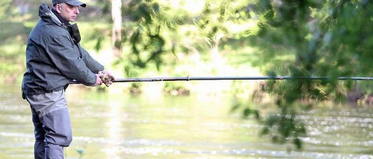 Un pescador, en uno de los cotos salmoneros del río Ulla. // Bernabé