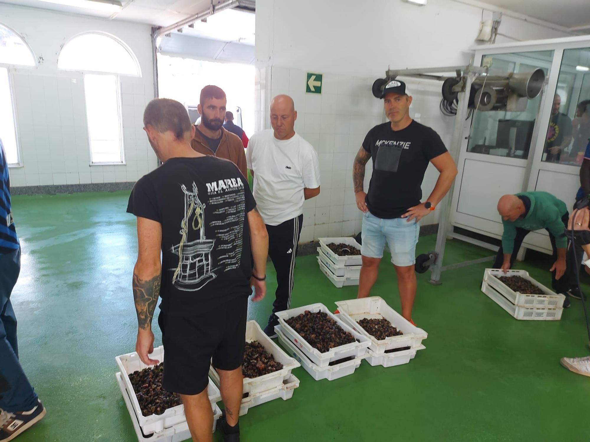 En imágenes: La primera subasta de percebe de la temporada en la rula de Puerto de Vega