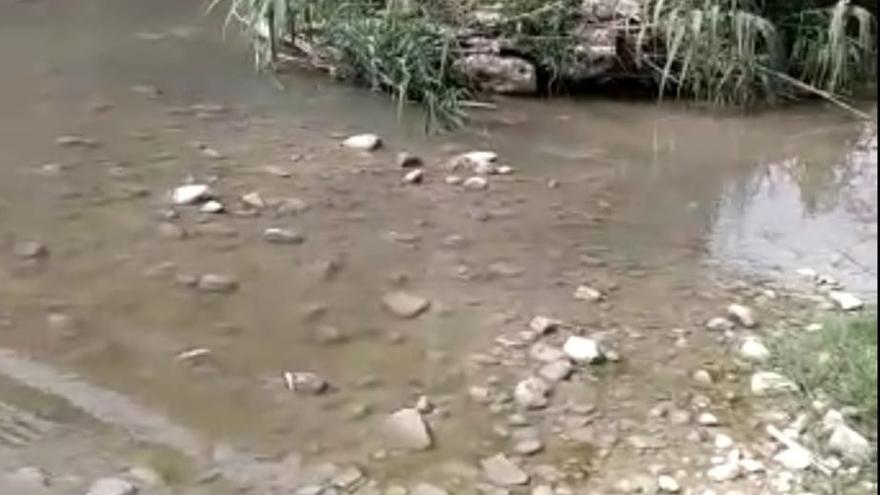 Aparecen barbos muertos en el río Cabra a su paso por Aguilar