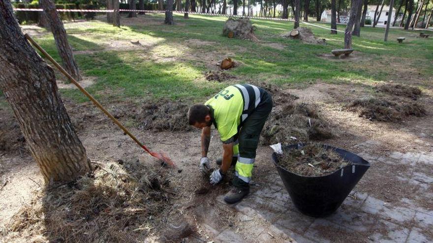 FCC recurre el contrato de parques que ganó Acciona