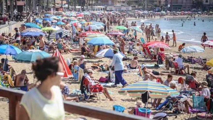 Una imagen de la playa del Cura de Torrevieja.