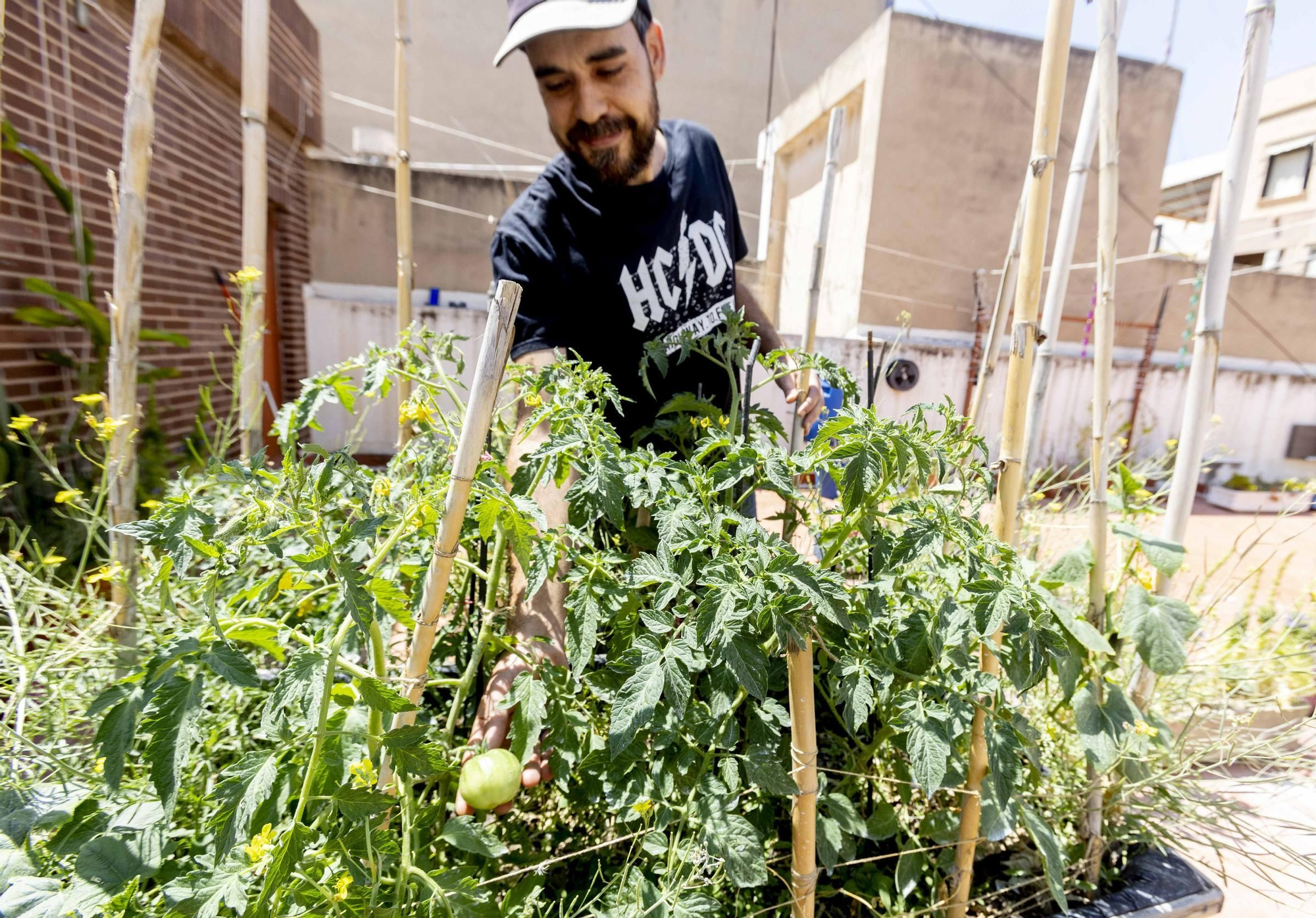 Los huertos en balcones y terrazas son ya una tendencia al alza en la provincia de Alicante