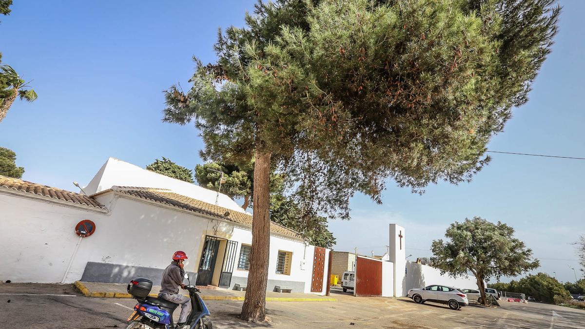 Acceso al cementerio de Torrevieja, en una imagen de archivo