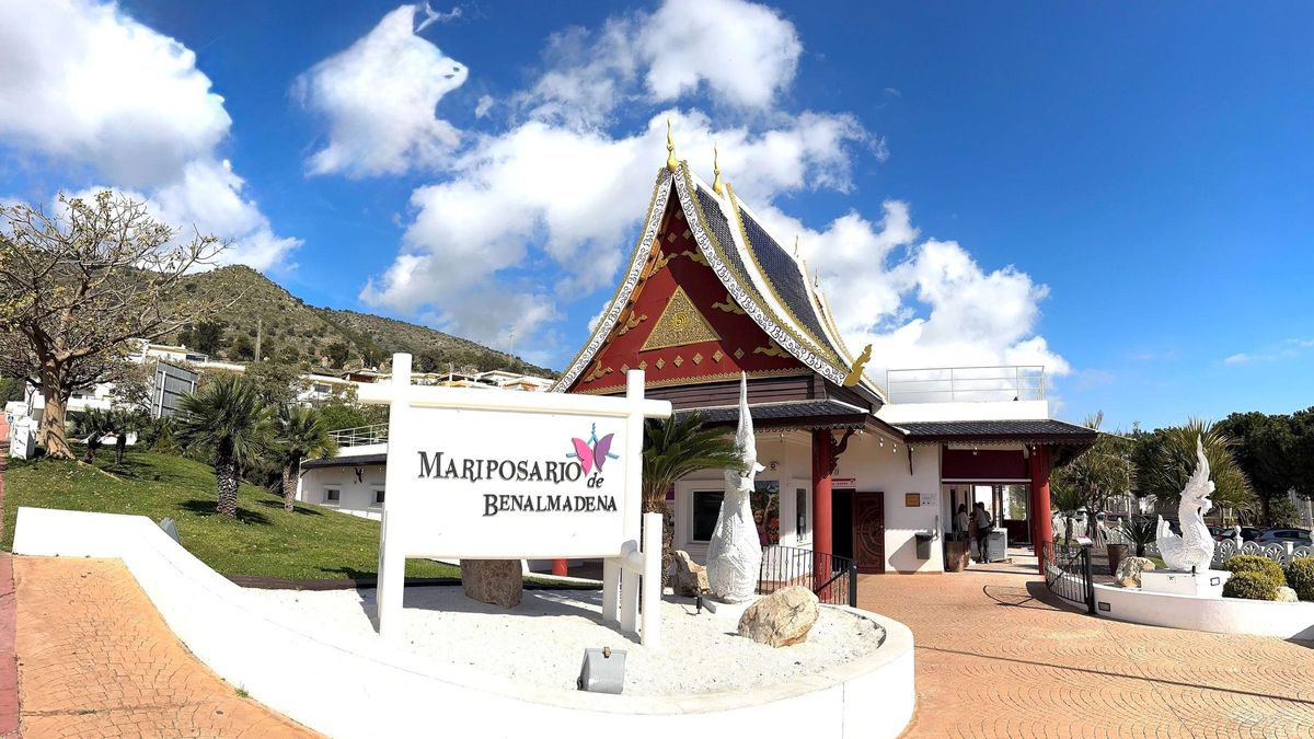Mariposario de Benalmádena te invita a vivir un momento inolvidable en familia, con amigos o en pareja
