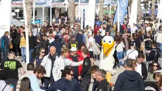 El Consell trata de que Alicante sea puerto de salida permanente de la Ocean Race