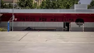 Ni árboles ni sombras: solo un colegio de Aragón de los elegidos por la DGA logra un patio 'verde' para combatir el calor