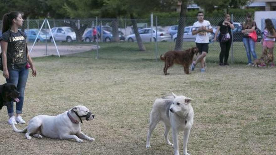 El ayuntamiento se reúne con los vecinos de Sensal para resolver el uso del parque canino