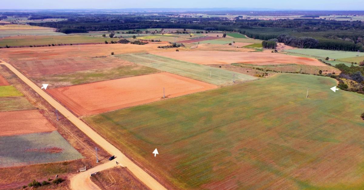 Terrenos donde se asinta el campamento romano de Castropepe en Zamora