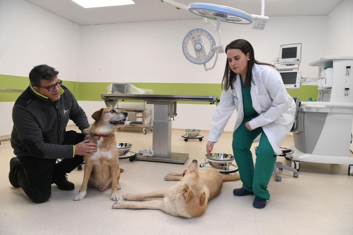 Instalaciones hospital veterinario 4 de Octubre