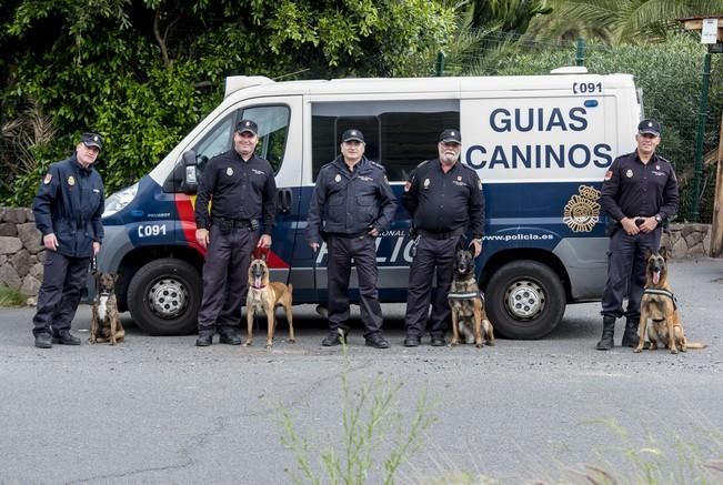 Reportaje a la Unidad Canina de la Policia ...