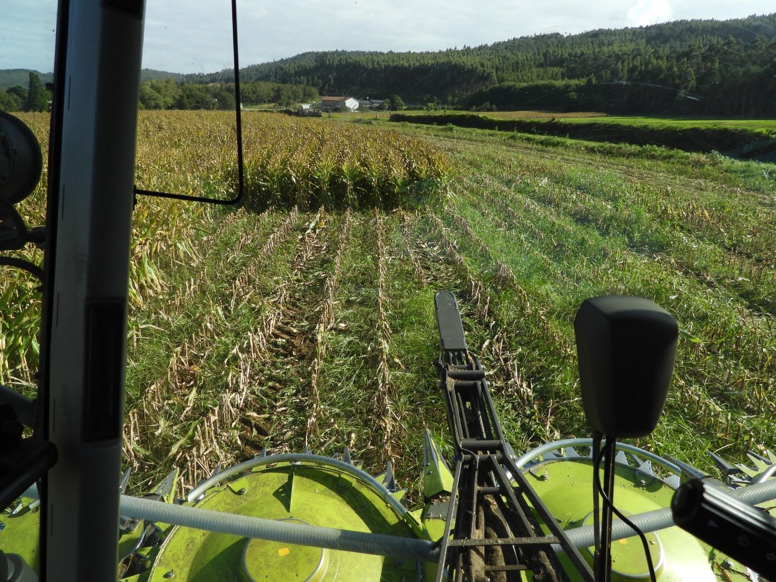 La cosechadora de un millón de euros de Marcial da Pereira