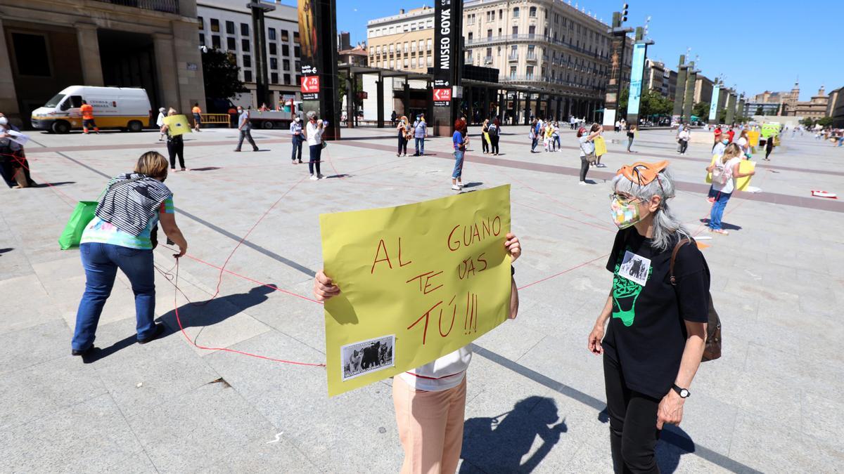 Protesta de las ciudadoras de gatos frente al ayuntamiento, este viernes.