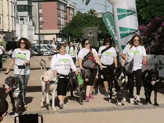 Carrera de mascotas Can We Run