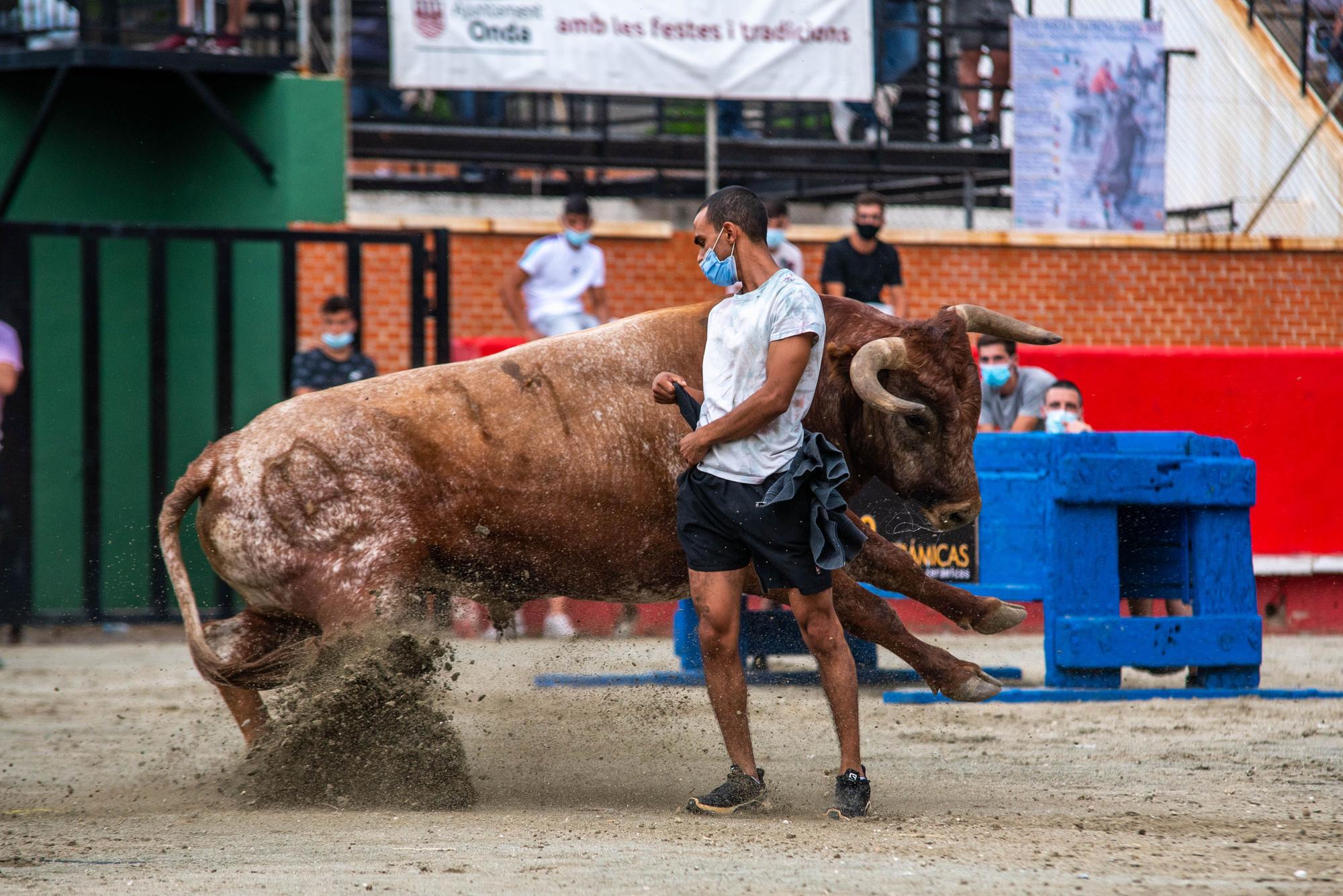 La Pascua Taurina devuelve tras 565 días la emoción de los ‘bous’ a Onda