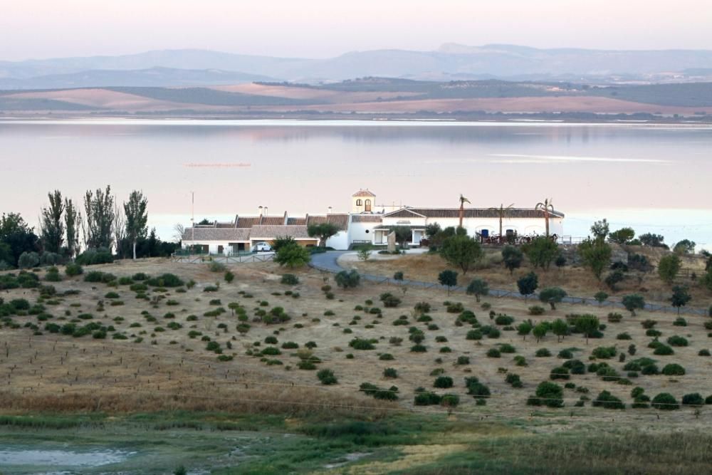 Laguna de Fuente de Piedra (Málaga)