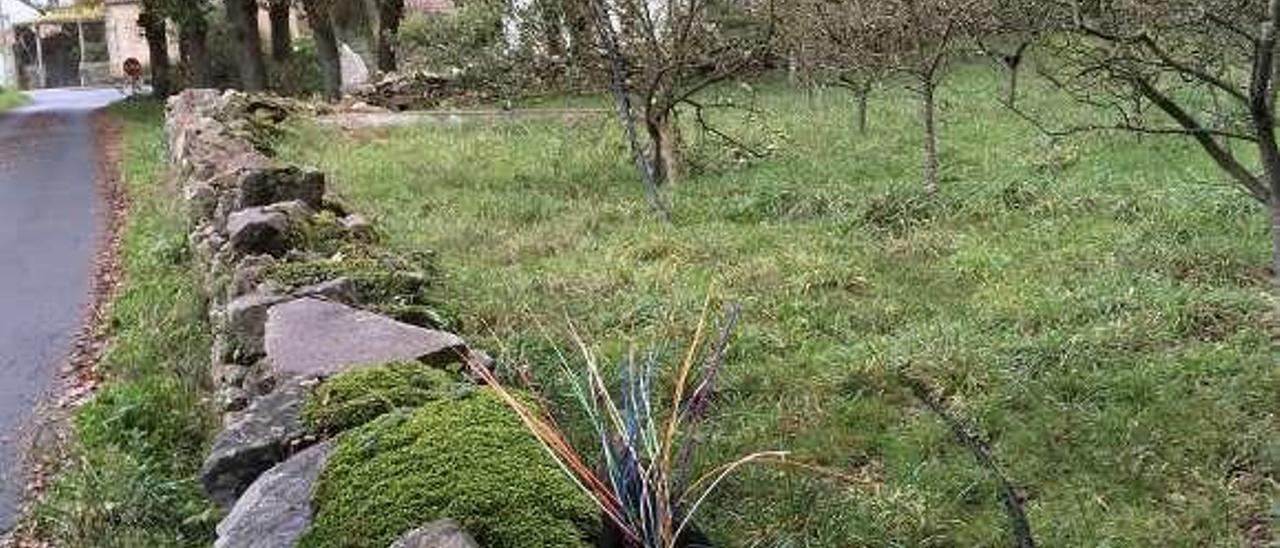 Cables al descubierto tras caer un poste en Bermés. // Bernabé/Javier Lalín/Cedida