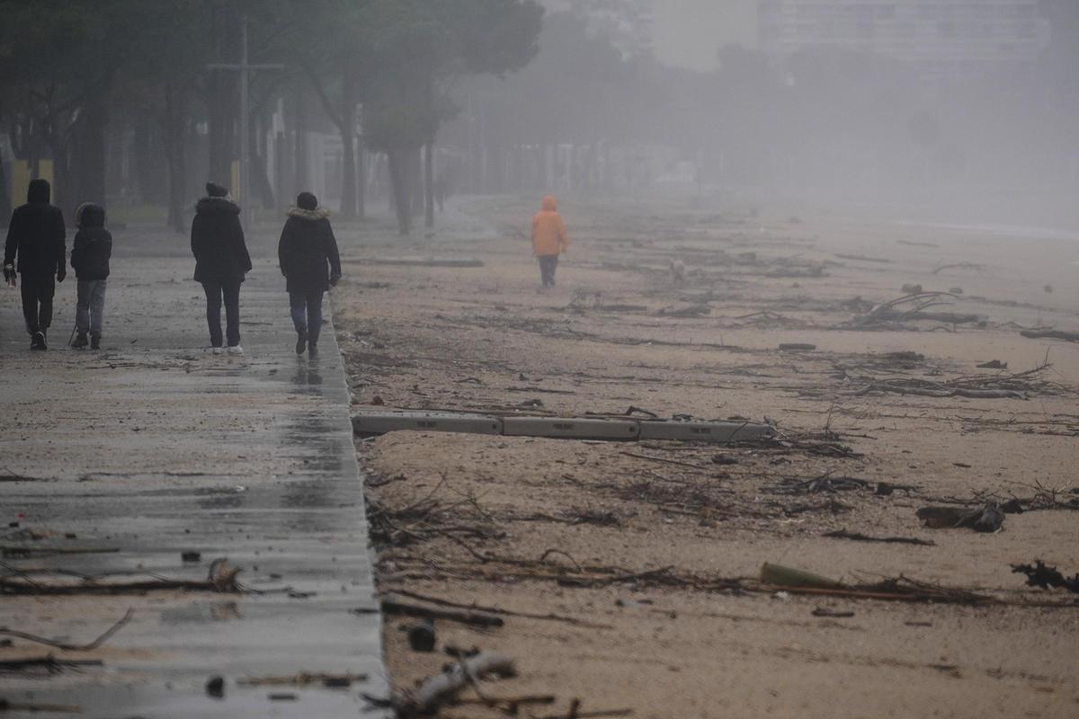 Imatges de la balena morta arrossegada pel temporal a la costa de Platja d'Aro