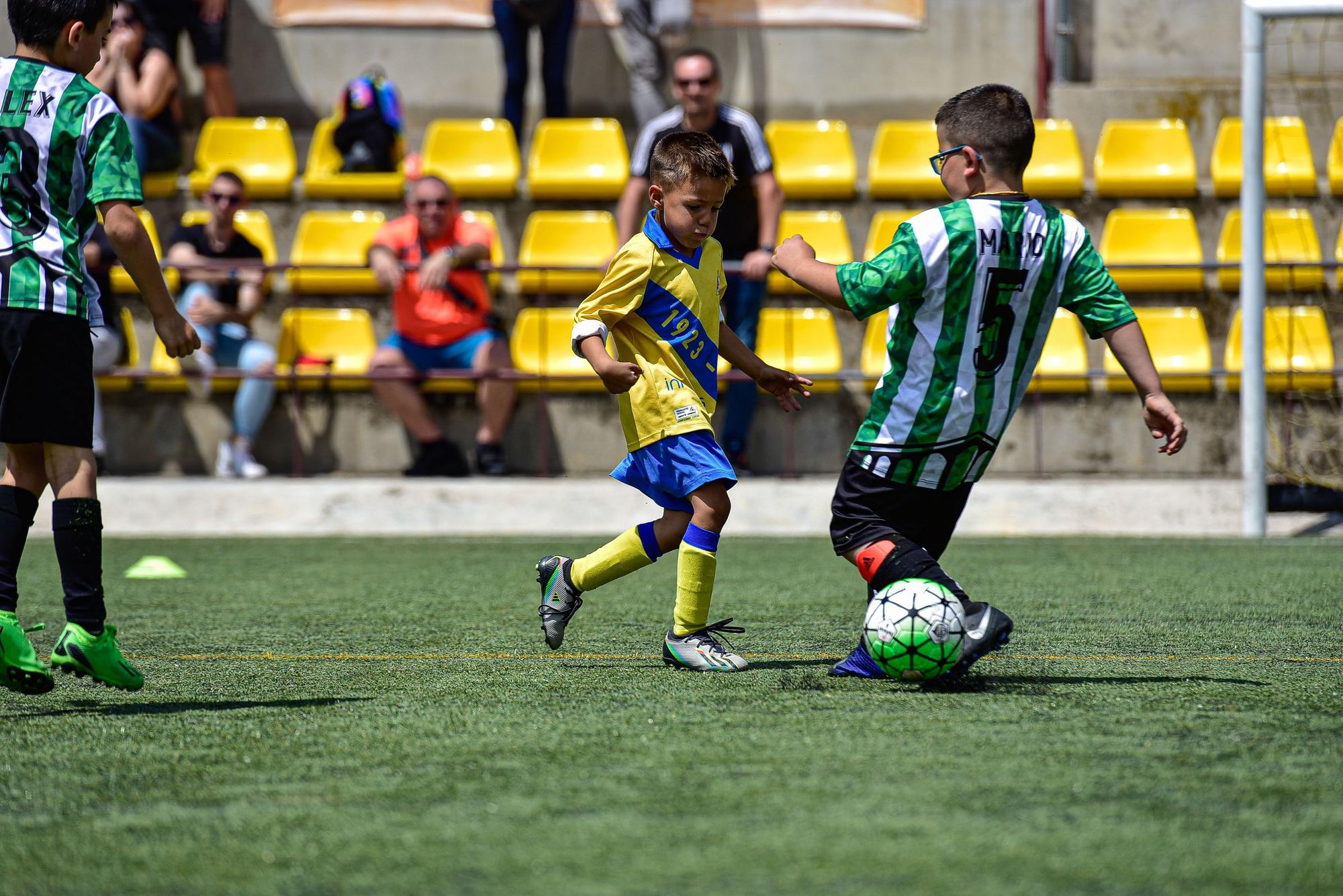 Totes les fotos de la trobada de clubs a Navàs