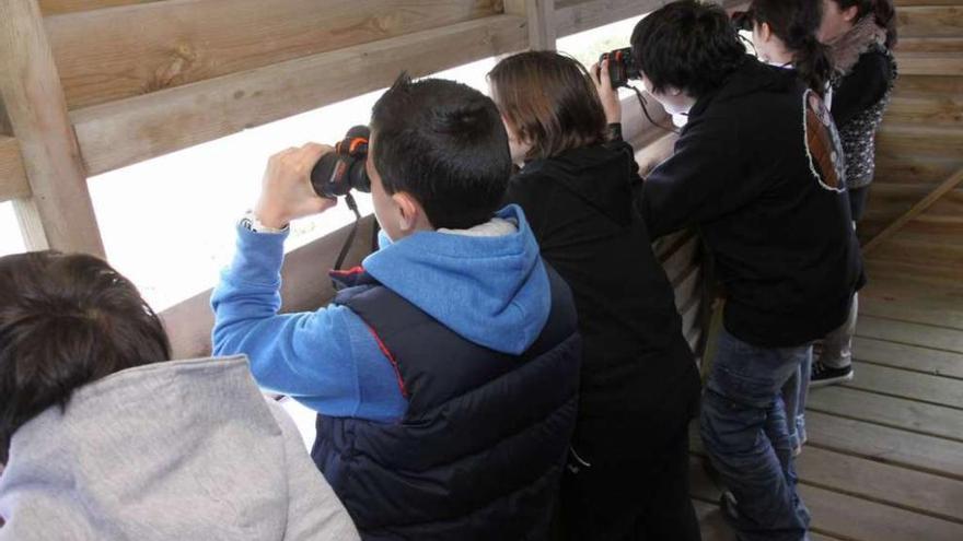 Observación de aves en uno de los puestos instalados en el istmo de A Lanzada. // Muñiz