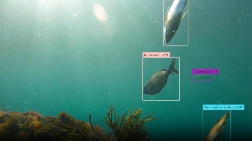 El Puerto pone ojos y oídos bajo el agua