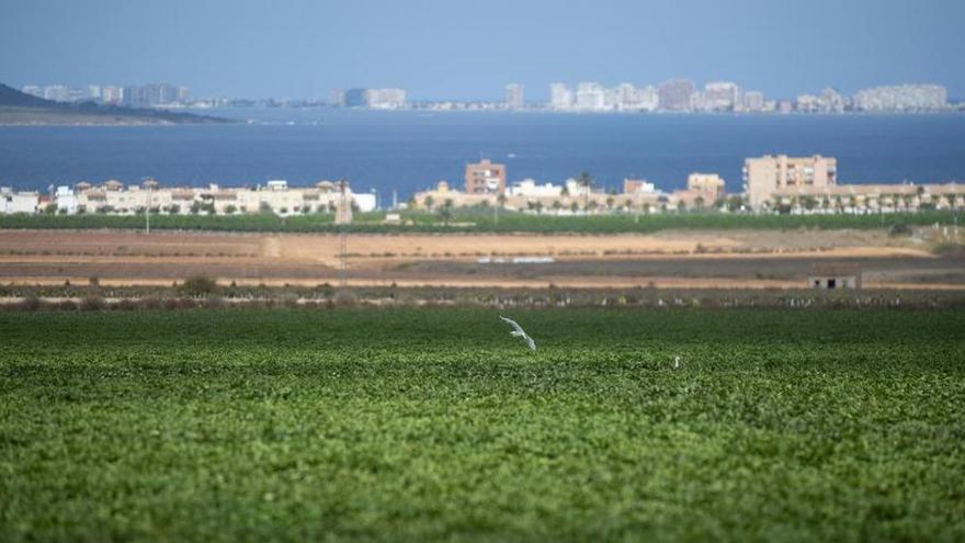 Fundación Ingenio y el Mar Menor