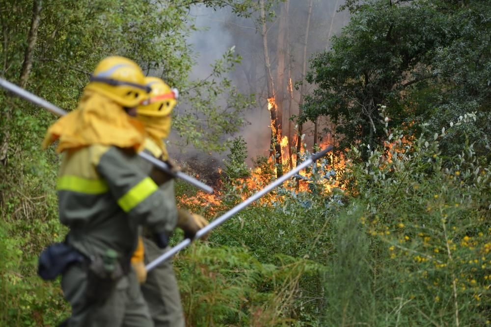 Incendio forestal en Cotobade