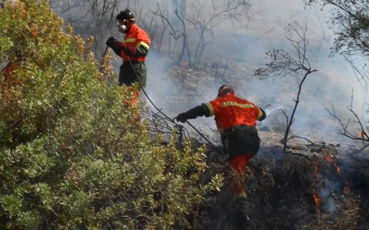 El fuego arrasa en Cerdeña: cientos de hectáreas afectadas y hay evacuaciones