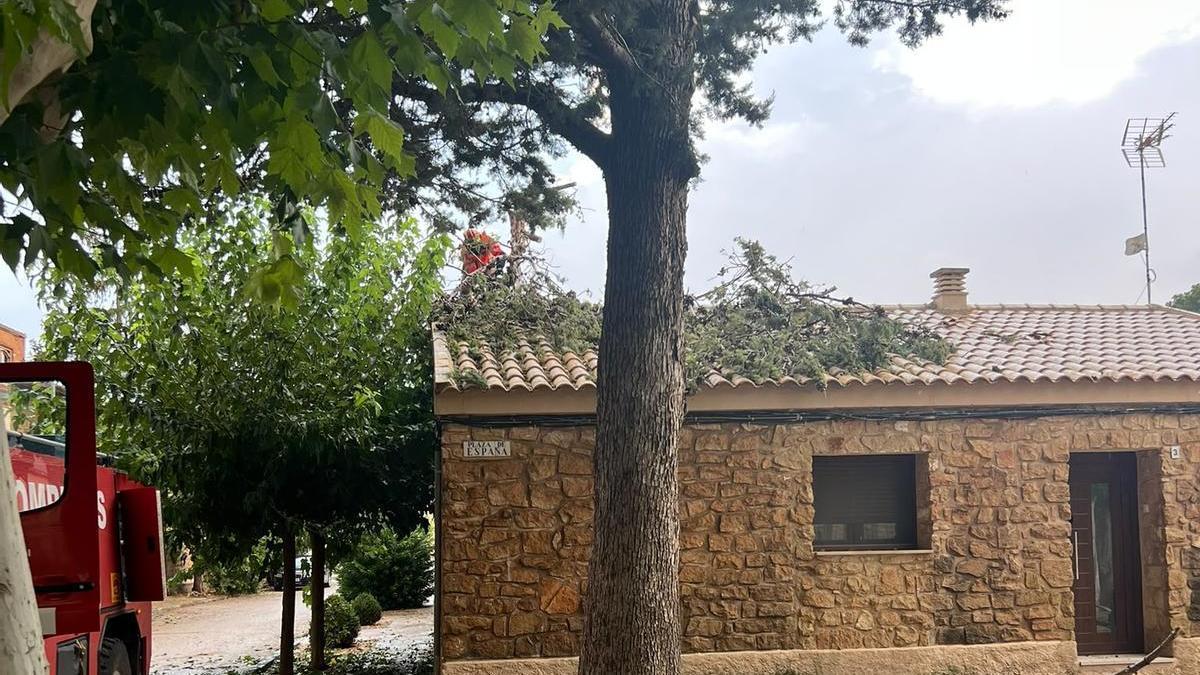Una fuerte tormenta tumba un árbol sobre una casa en una pedanía de Alcañiz y provoca daños en campos y carreteras de Aragón