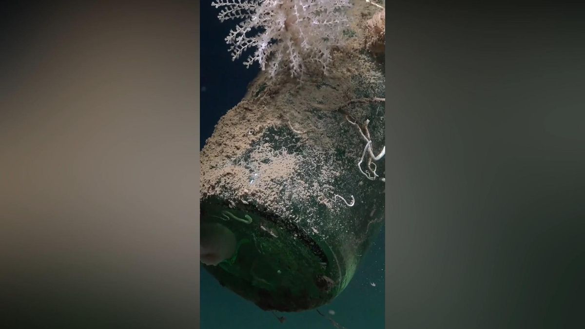 Un barco de Vigo localiza un «mensaje en una botella» a 2.000 metros de profundidad