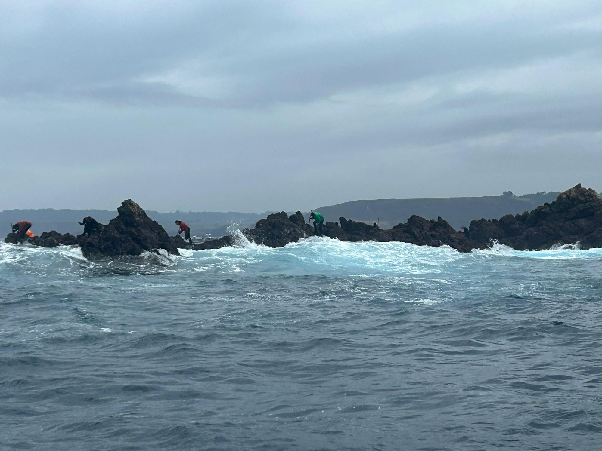 EN IMÁGENES: Así luchan los mariscadores de Luanco por cada kilo de percebe en el cabo Peñas