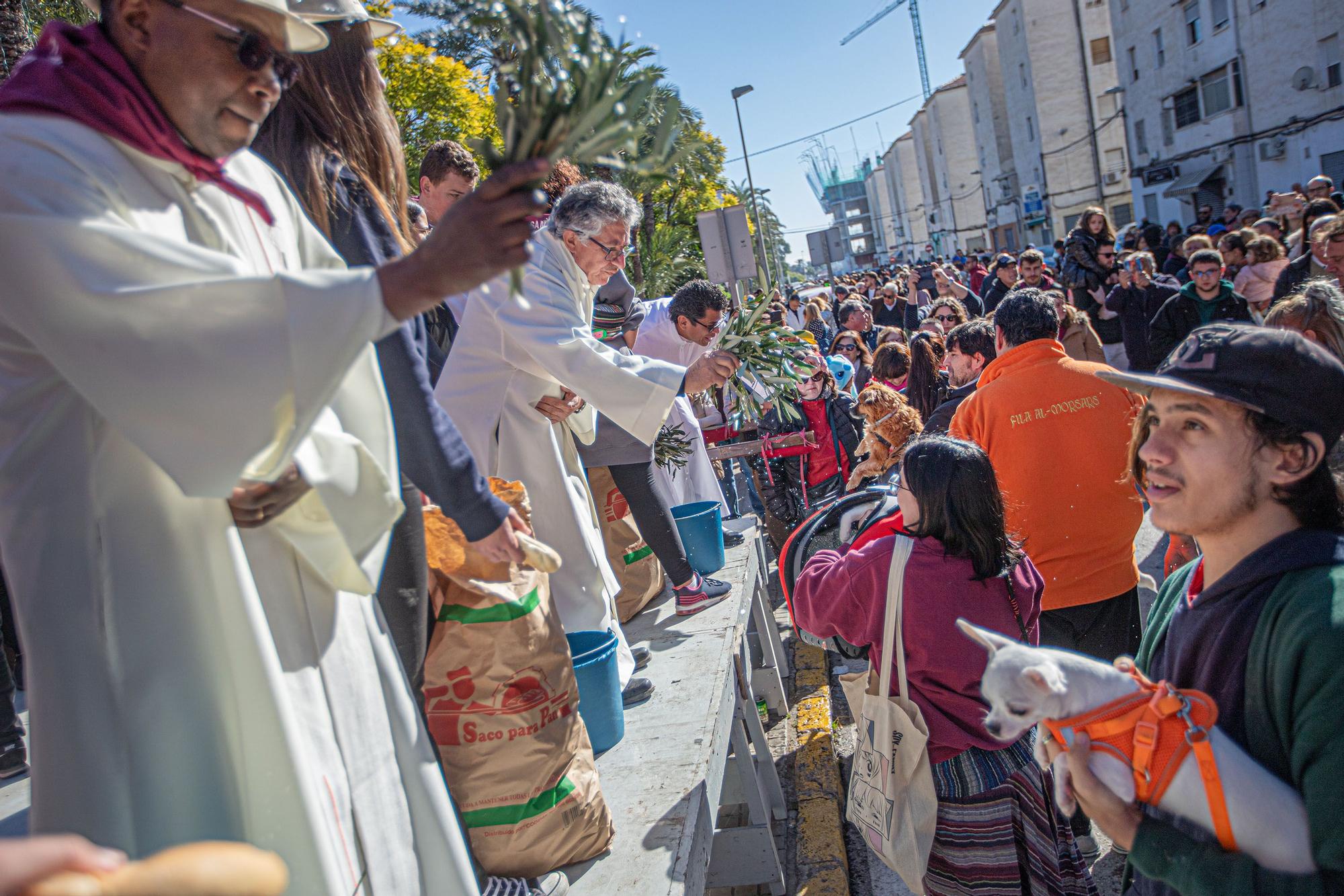 Romería y Bendición de animales en San Antón de Elche