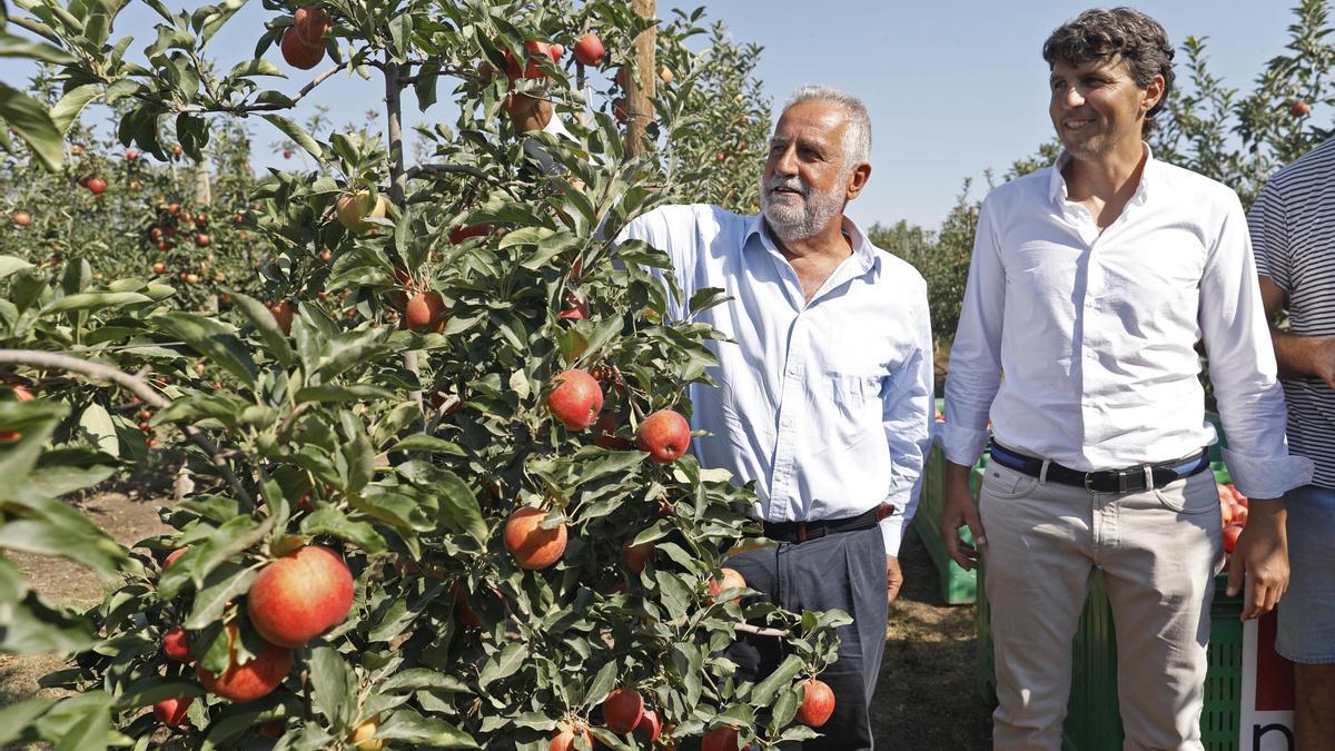 Rafel Nadal, acompanyat per Jaume Armengol el president de Poma de Girona, va ser l&#039;encarregat de collir la primera poma.