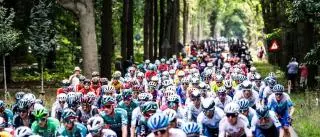 El Tourmalet: ellos ya no verán ni la Vuelta ni a sus familias