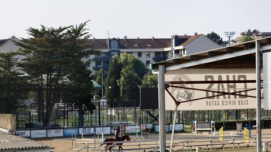 La venta de los terrenos del Chas o la mejora de sus instalaciones en Gijón, sin decisión firme: "Va para largo"