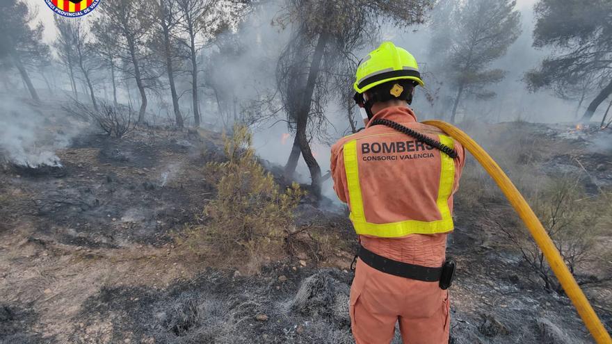 Incendio forestal en Venta del Moro