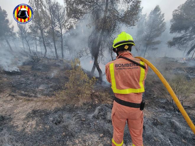 Incendio forestal en Venta del Moro