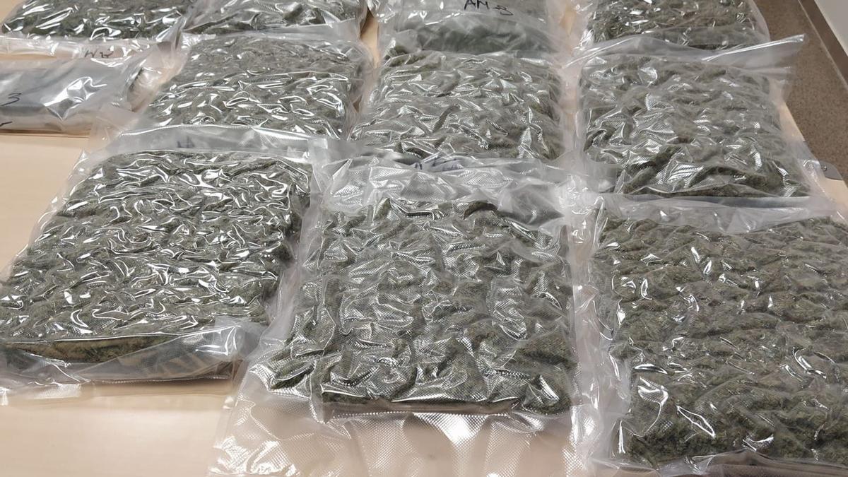 Els paquets de marihuana comissats pels Mossos d&#039;Esquadra