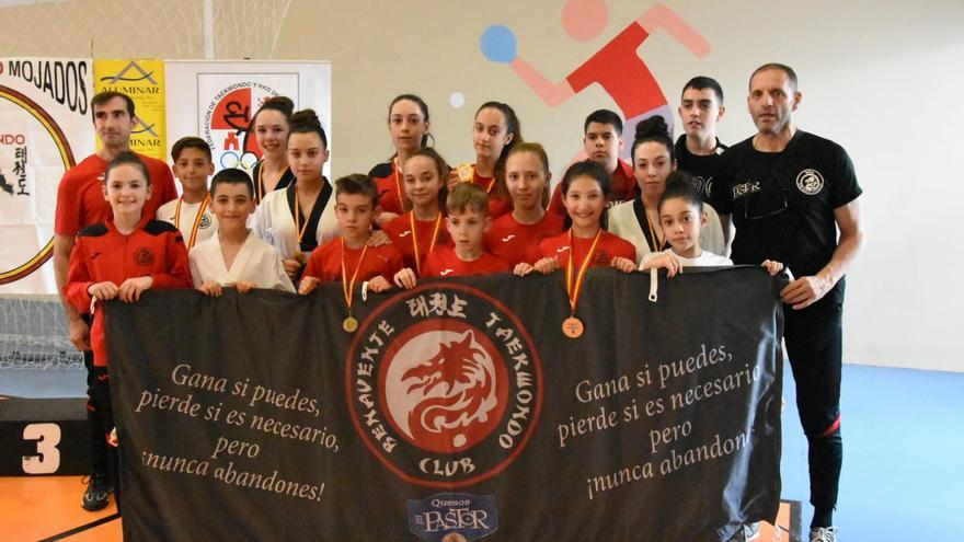 El Club Taekwondo Benavente logra once medallas en el Campeonato de Castilla y León de Poomaes y Promoción adulto-infantil