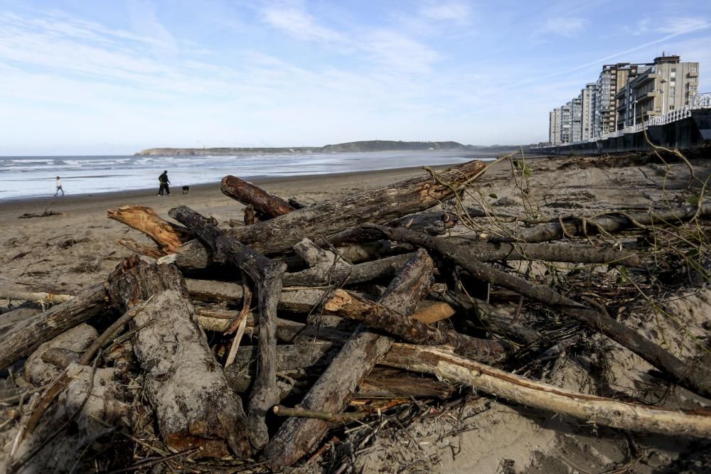 Basura y troncos apilados en la playa de Salinas